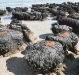 Galería de Paleosuelos y los Suelos del Pasado